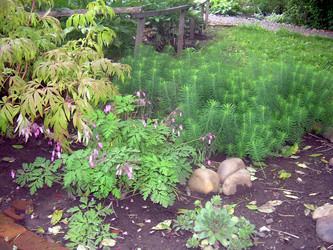 Similar image 21832059