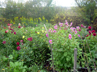 Similar image 21832065