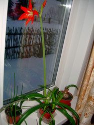 Similar image 21832066