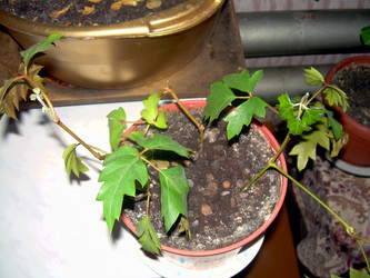 Similar image 21832067