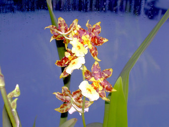 Similar image 21832071