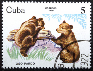 Similar image 21833563