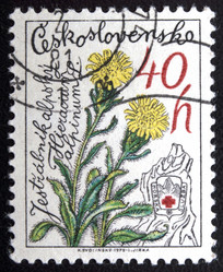 Similar image 21846319