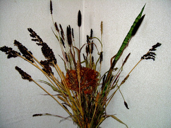 Similar image 21832074