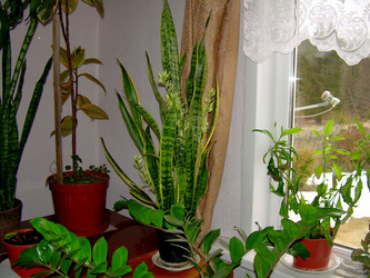 Similar image 21832075