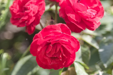 Similar image 21848028