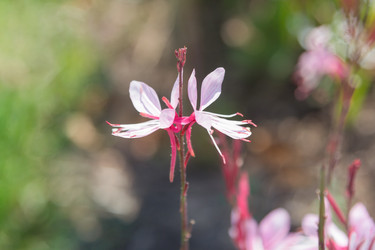 Similar image 21848029