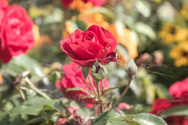 Similar image 21848030