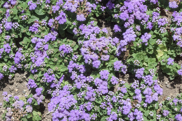 Similar image 21848033