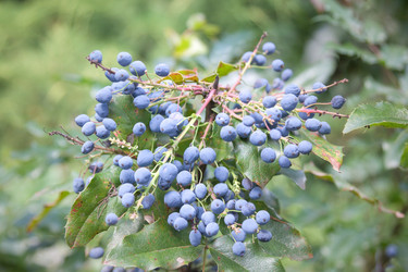 Similar image 21848037