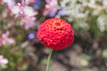 Similar image 21848038