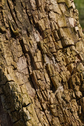 Similar image 21836717