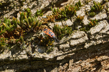 Similar image 21836718