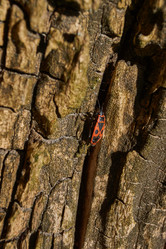 Similar image 21835225