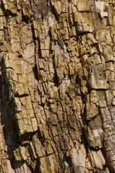 Similar image 21835226