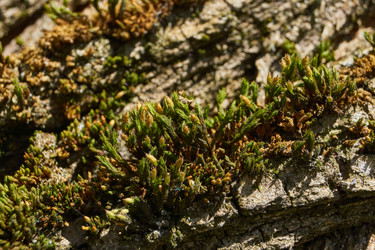 Similar image 21833013