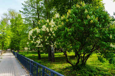 Similar image 21840604