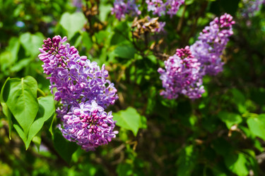 Similar image 21840606