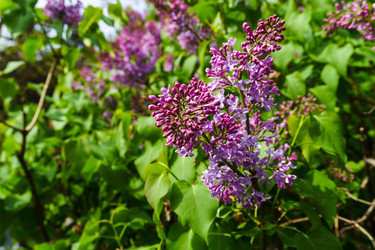 Similar image 21840607