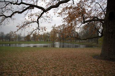 Similar image 21832421