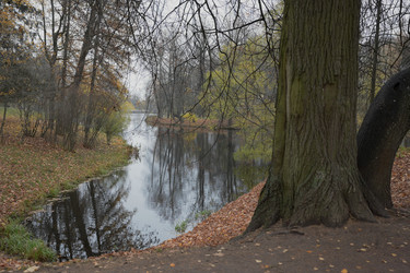 Similar image 21832425