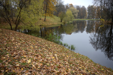 Similar image 21832428