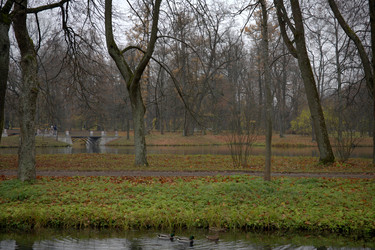 Similar image 21832431