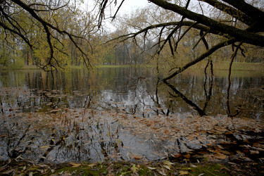 Similar image 21832432