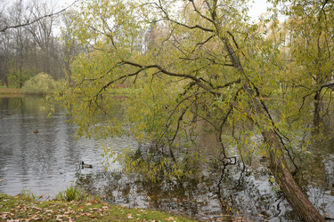 Similar image 21832433