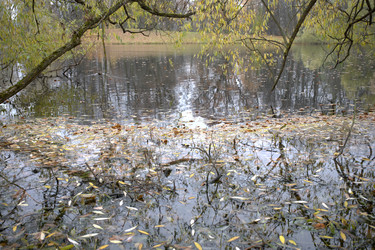 Similar image 21832434