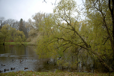 Similar image 21832435