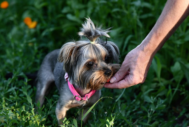 Similar image 21833160