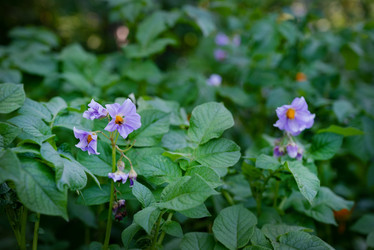 Similar image 21833163