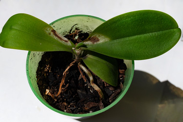 Similar image 21833171