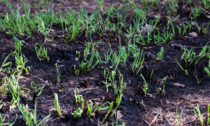 Similar image 21833174