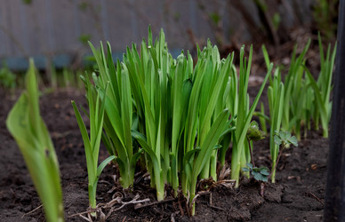 Similar image 21833175