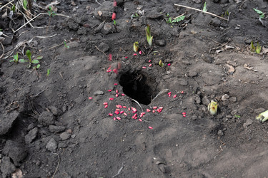 Similar image 21833176