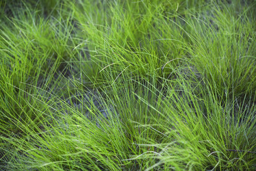 Similar image 21832443