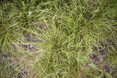 Similar image 21832444