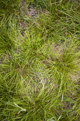 Similar image 21832445