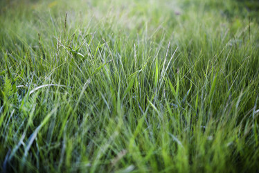 Similar image 21832446