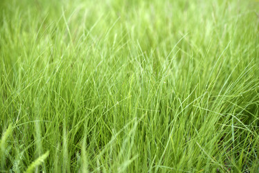 Similar image 21832447