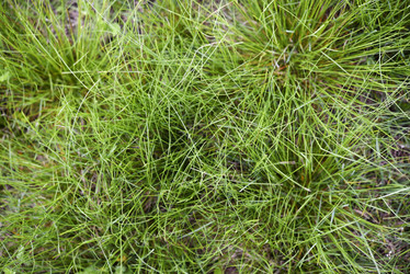 Similar image 21832449