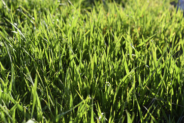 Similar image 21832450