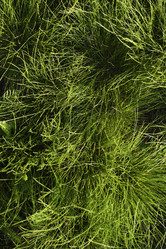 Similar image 21832451