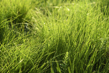 Similar image 21832452