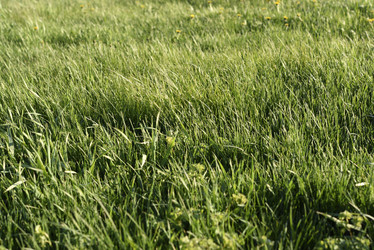 Similar image 21832453