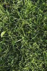 Similar image 21832456