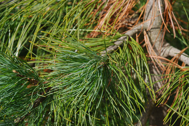 Similar image 21833579