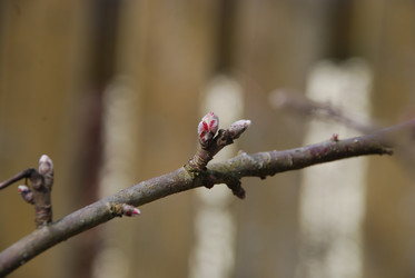 Similar image 21833982